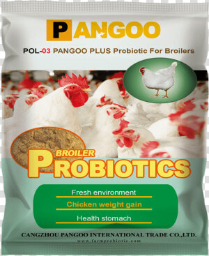 Poultry Probiotics For Broiler   Probiotic Pangoo  HD Png Download