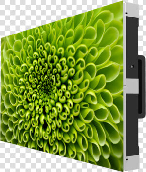 P 1 Led Video Walls  HD Png Download
