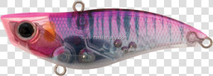 Fin  HD Png Download