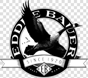 Eddie Bauer 2 Logo Png Transparent   Eddie Bauer Logo  Png Download