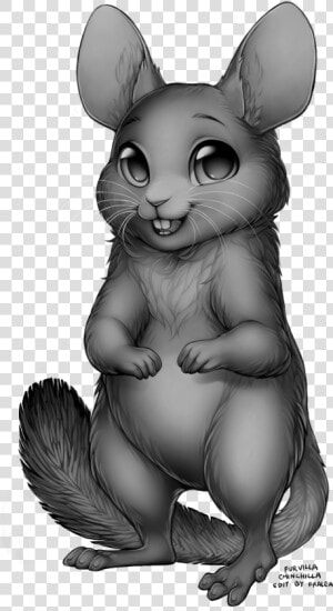 Furvilla Chinchilla Base Edit F2u   Furvilla Base Chinchilla  HD Png Download