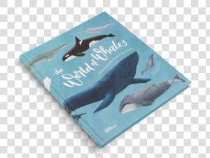 The World Of Whales By Darcy Dobell And Becky Thorns   Blue Whale  HD Png Download