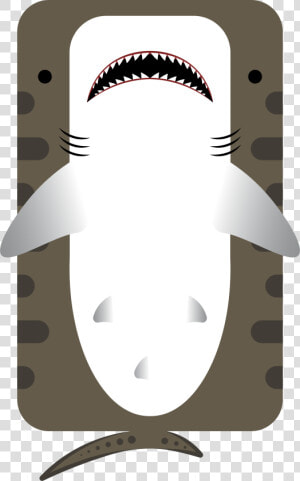 Animal animal  Tiger Shark  HD Png Download