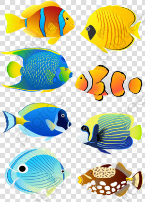 Coral Reef Clipart Fish   Coral Reef Fish Cartoon  HD Png Download