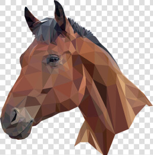 Low Poly Horse Head  HD Png Download