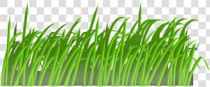 Clip Art Portable Network Graphics Transparency Lawn   Grass Pixel Art Png  Transparent Png