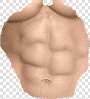  6 Pack   6 Pack Png Hd  Transparent Png