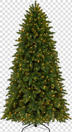 Fir Tree Png Hd Background   Christmas Tree  Transparent Png