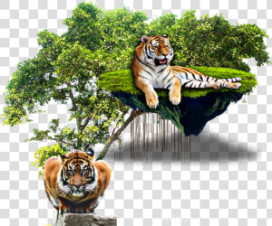  pic  tiger  picsart  picsartphoto  picsarteffects   Tropical Rainforest Trees Png  Transparent Png
