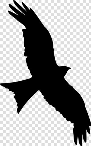 Transparent Bird Clipart   Transparent Flying Bird Silhouette  HD Png Download