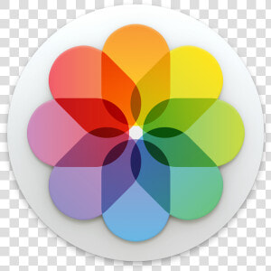  logopedia10   Gallery Ios Icon Png  Transparent Png