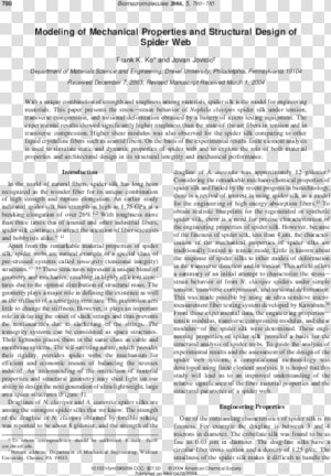 Document  HD Png Download