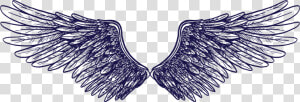 Team   Png Download   Imagem Asas Em Png  Transparent Png