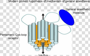 Modern Mechanism Of General Anesthesia  HD Png Download