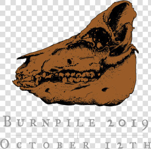 Rhinoceros  HD Png Download