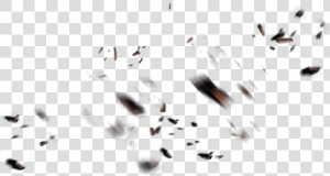 Macro Photography  HD Png Download