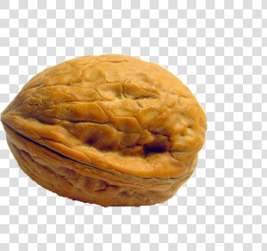 Walnut Png Image   Transparent Background Nut Clipart  Png Download