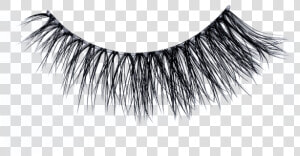 Eyelash Extensions  HD Png Download