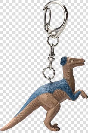 Velociraptor Png  Transparent Png