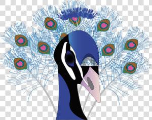 Colorama Coloring Book Peacock  HD Png Download