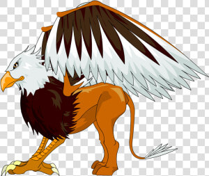 Griffin Png Image   Transparent Griffin Clipart  Png Download