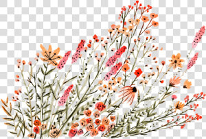 Dainty Flower Drawing Transparent  HD Png Download