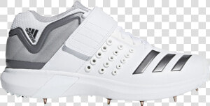 Adidas Spikes Cricket Shoes  HD Png Download