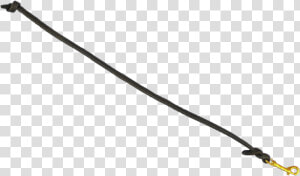 Leash Png   Dog Leash No Background  Transparent Png