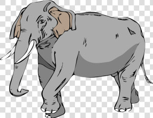 Architetto Elefante 02 Clip Arts  HD Png Download