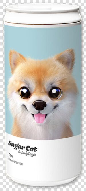 Pomeranian  HD Png Download