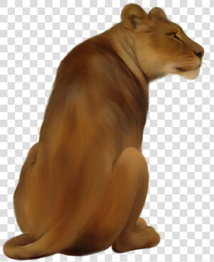 Lioness Png Pic   Png Lioness  Transparent Png