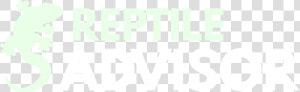 Reptile Advisor   Graphic Design  HD Png Download