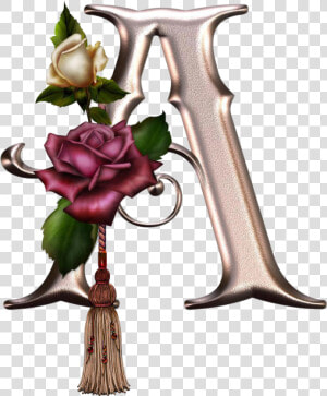 Alfabeto Con Rosas   Alphabet Letter Rose  HD Png Download