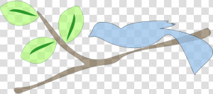 Png กิ่ง  Transparent Png