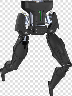 Draco Png  Transparent Png