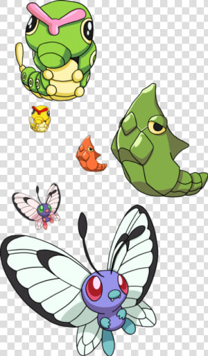 Caterpie Metapod Butterfree  HD Png Download