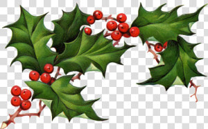 Christmas Holly Png Christmas Clipart Holly The Best   Holly Png  Transparent Png