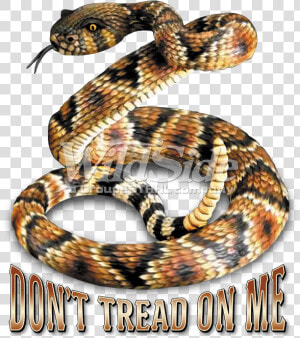 Don T Tread On Me  HD Png Download