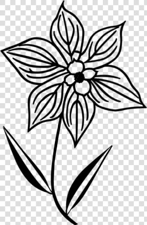  doodle  flower  silhouette some   Outline Of A Flower  HD Png Download