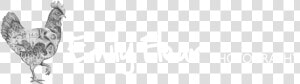 Devon Wedding Photographer   Pattern  HD Png Download