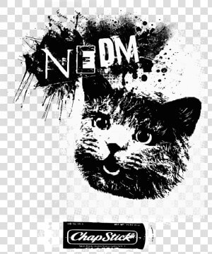 Dofus Cat Black And White Poster Text Cat Font Small   Poster  HD Png Download