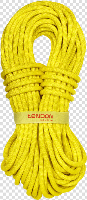 Tendon Trust   Skipping Rope  HD Png Download