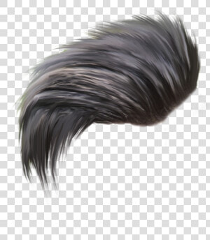 Top 50 Hair Png Download All New Cb Hair Style Png   Hair Png For Picsart  Transparent Png