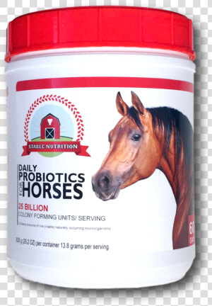 Stable Png  Transparent Png