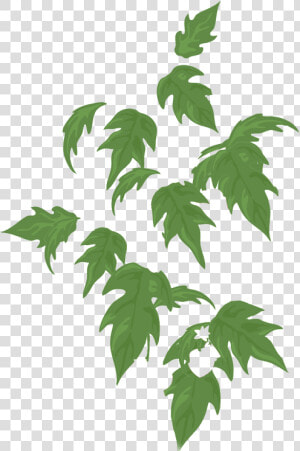 Swamp Maple  HD Png Download
