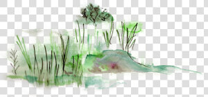 Shore   Watercolor Paint  HD Png Download