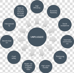 Processes Occur In The Mitochondria  HD Png Download