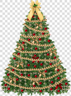Tress Png  Transparent Png
