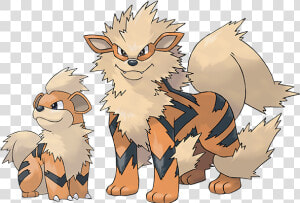 Pokemon Arcanine  HD Png Download