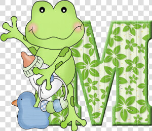 Transparent Frogs Clipart   Clip Art  HD Png Download